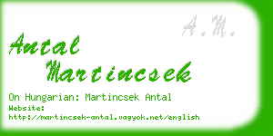 antal martincsek business card